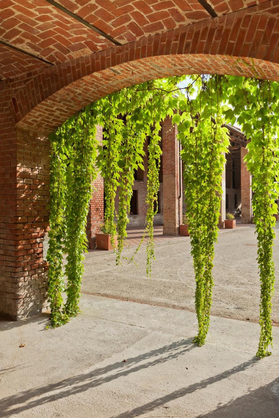 Marchesi Incisa Winery Lodge Rocchetta Tanaro Exterior foto